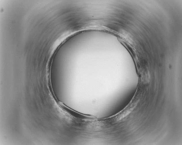 X0000087361430200705111634