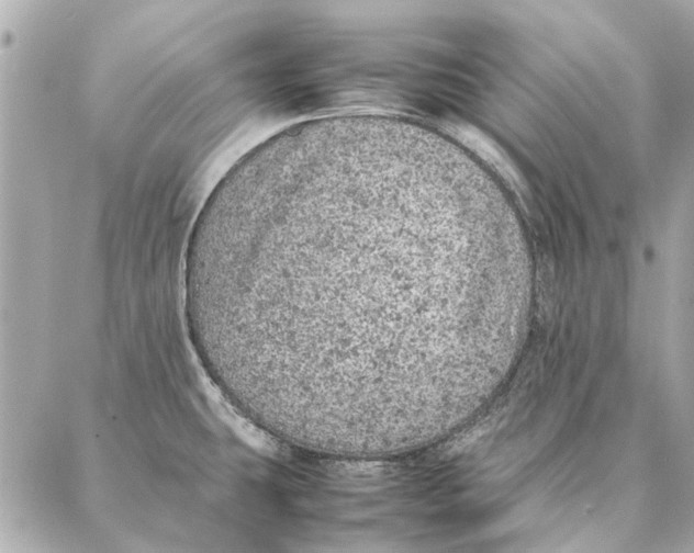 X0000087361431200705111634