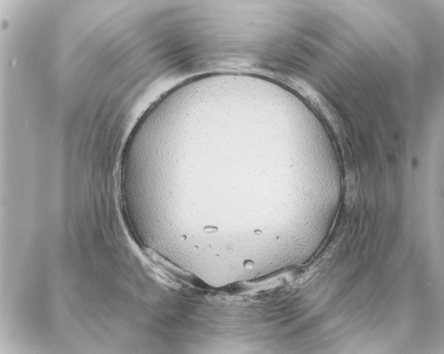 X0000087361432200705111634