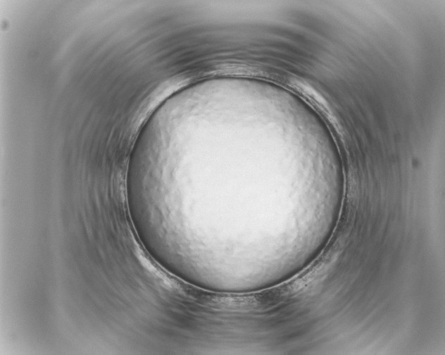 X0000087361433200705111634