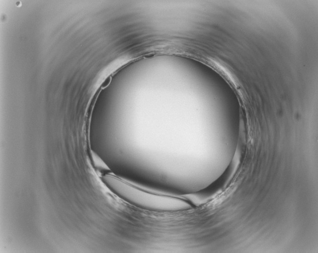 X0000087361434200705111634