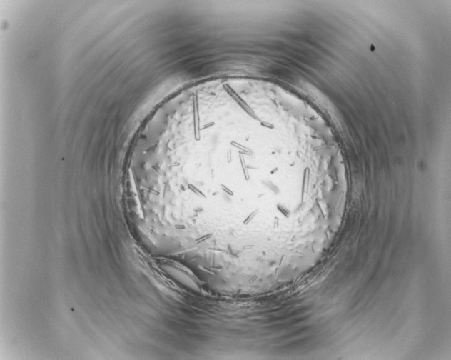 X0000087361435200705111634