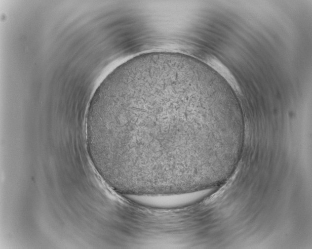 X0000087361436200705111634