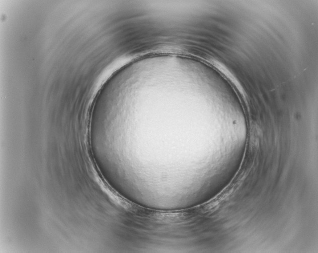 X0000087361437200705111634