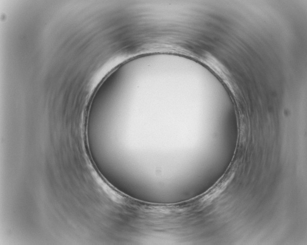 X0000087361438200705111634