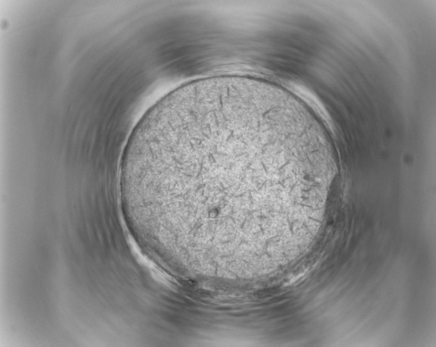 X0000087361439200705111634