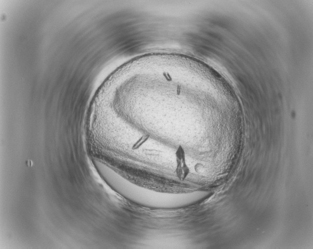 X0000087361440200705111634