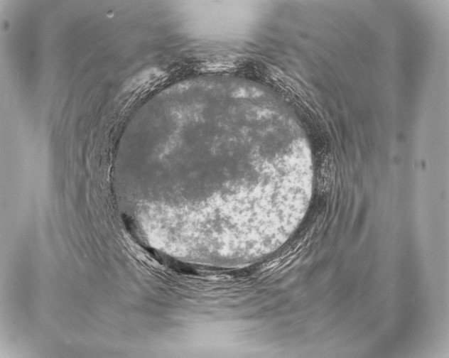 X0000087361441200705111633