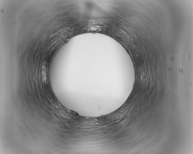 X0000087361442200705111633