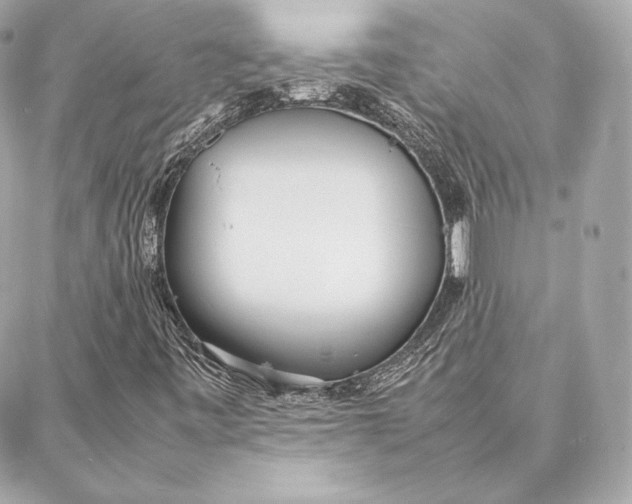 X0000087361443200705111633