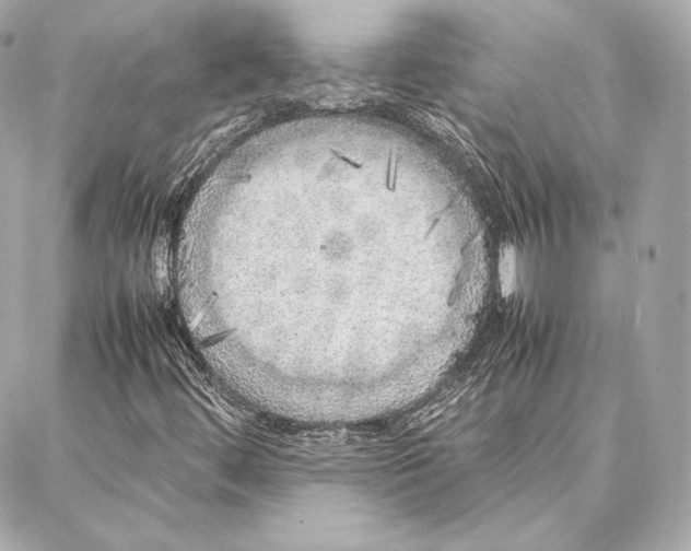 X0000087361444200705111633