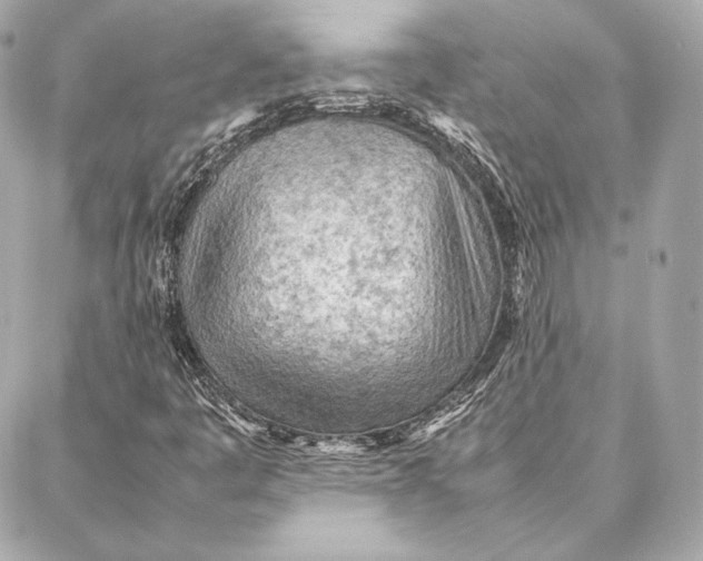 X0000087361445200705111633