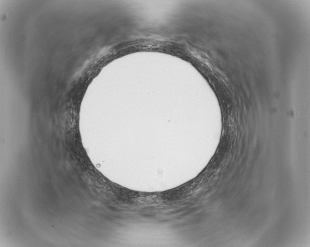 X0000087361447200705111633