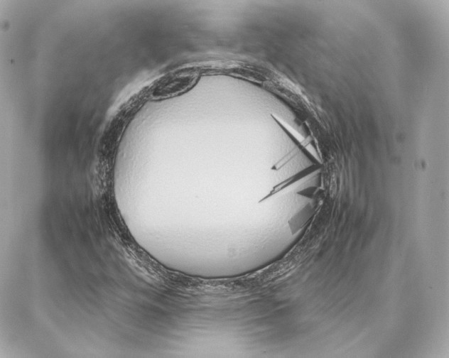 X0000087361448200705111633