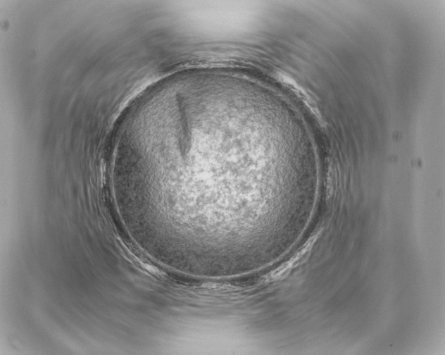 X0000087361449200705111633