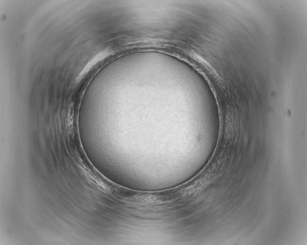 X0000087361450200705111633