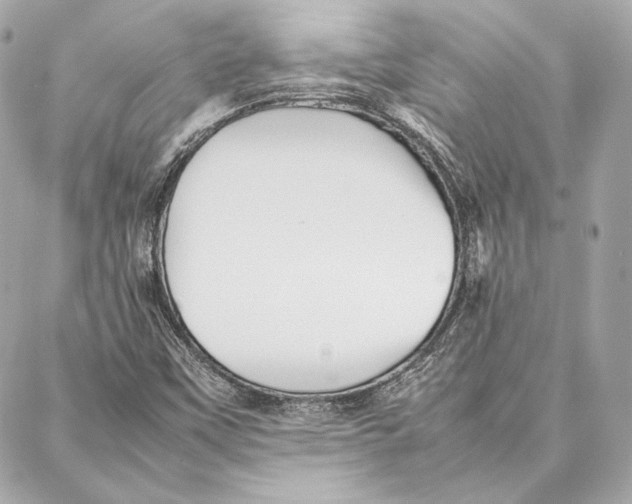 X0000087361451200705111633