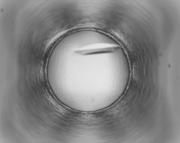 X0000087361452200705111633