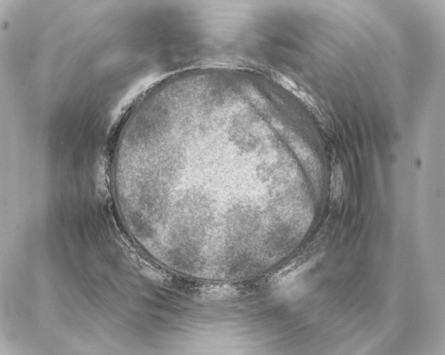 X0000087361454200705111633