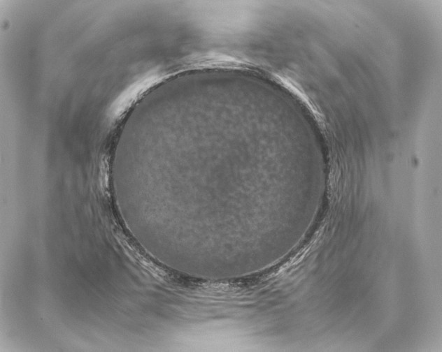 X0000087361455200705111633