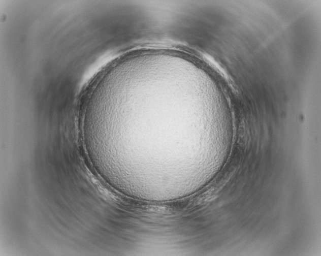 X0000087361456200705111633