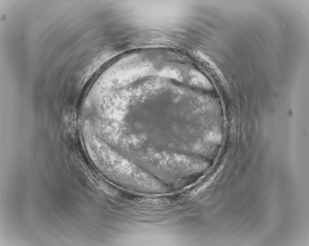 X0000087361457200705111633