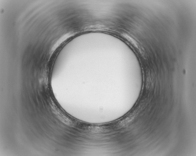 X0000087361458200705111633