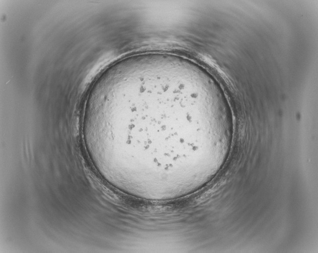 X0000087361459200705111633