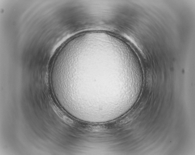 X0000087361460200705111633