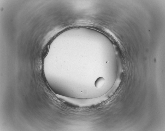 X0000087361461200705111633