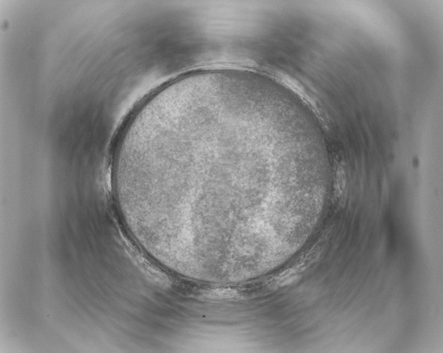 X0000087361462200705111633