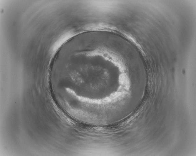 X0000087361463200705111633