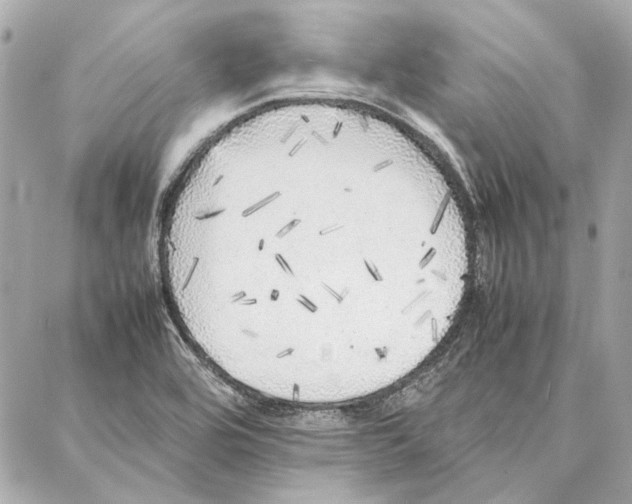 X0000087361464200705111633