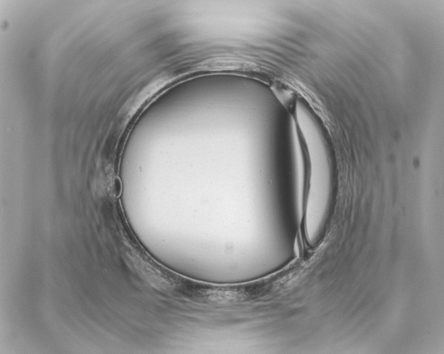 X0000087361465200705111633