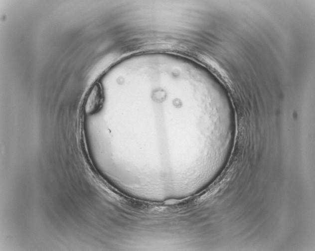 X0000087361467200705111633