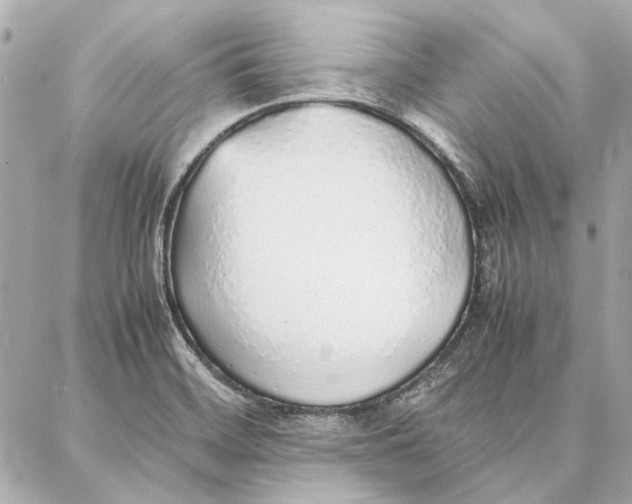 X0000087361468200705111633