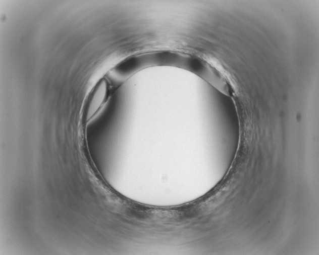 X0000087361469200705111633