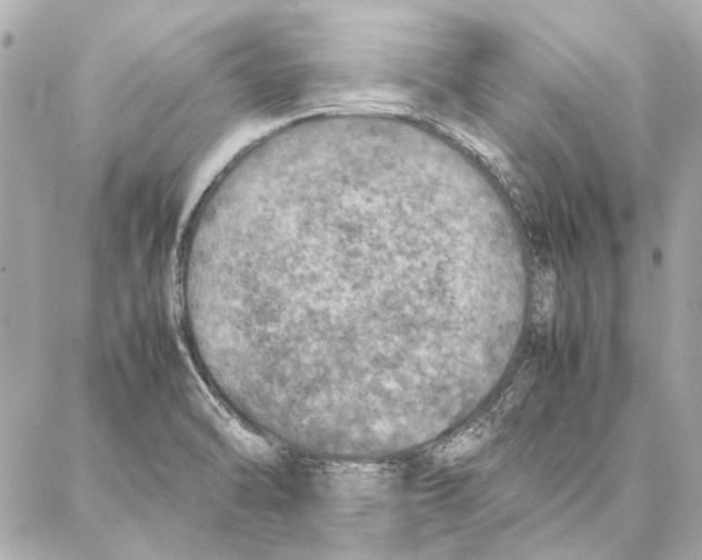 X0000087361470200705111632