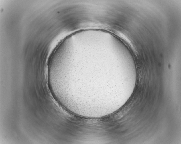 X0000087361472200705111632