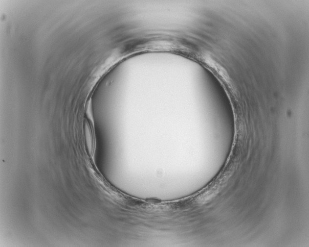 X0000087361473200705111632