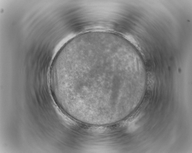 X0000087361474200705111632