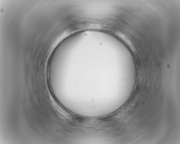 X0000087361475200705111632