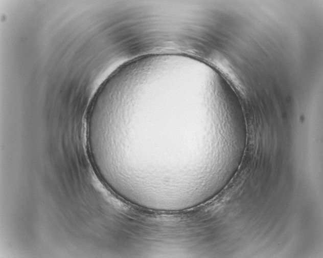 X0000087361476200705111632