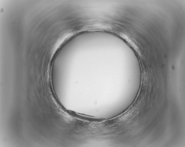 X0000087361477200705111632