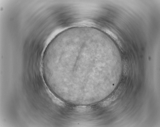 X0000087361478200705111632