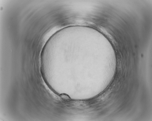 X0000087361479200705111632