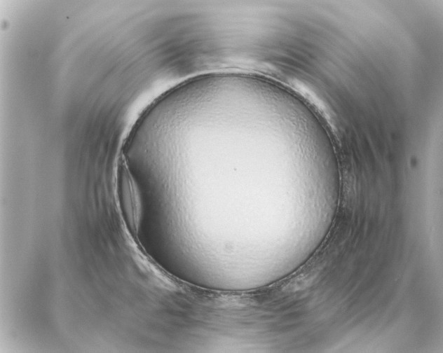 X0000087361480200705111632