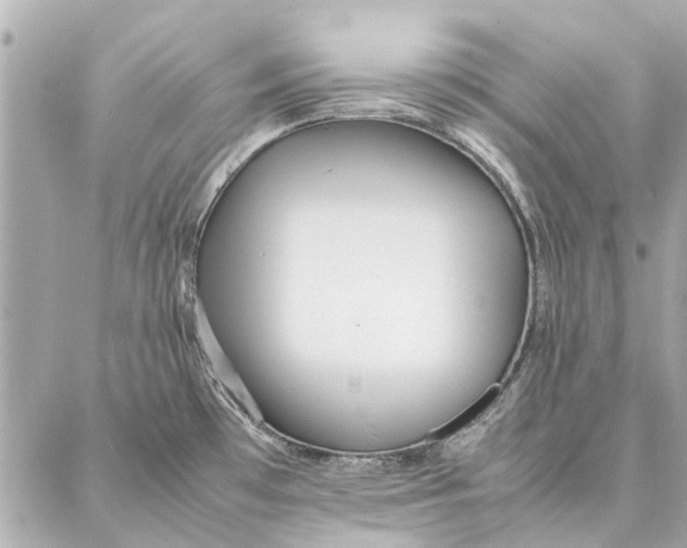 X0000087361481200705111632