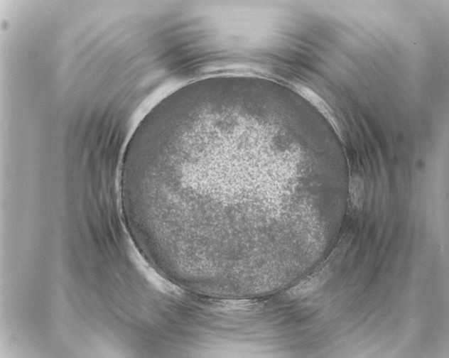 X0000087361482200705111632