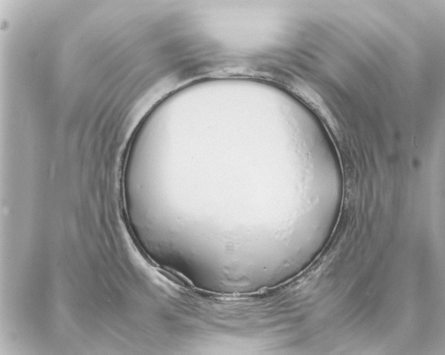 X0000087361483200705111632